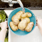 Claryum&reg; Direct Connect Replacement Cartridge image number 4